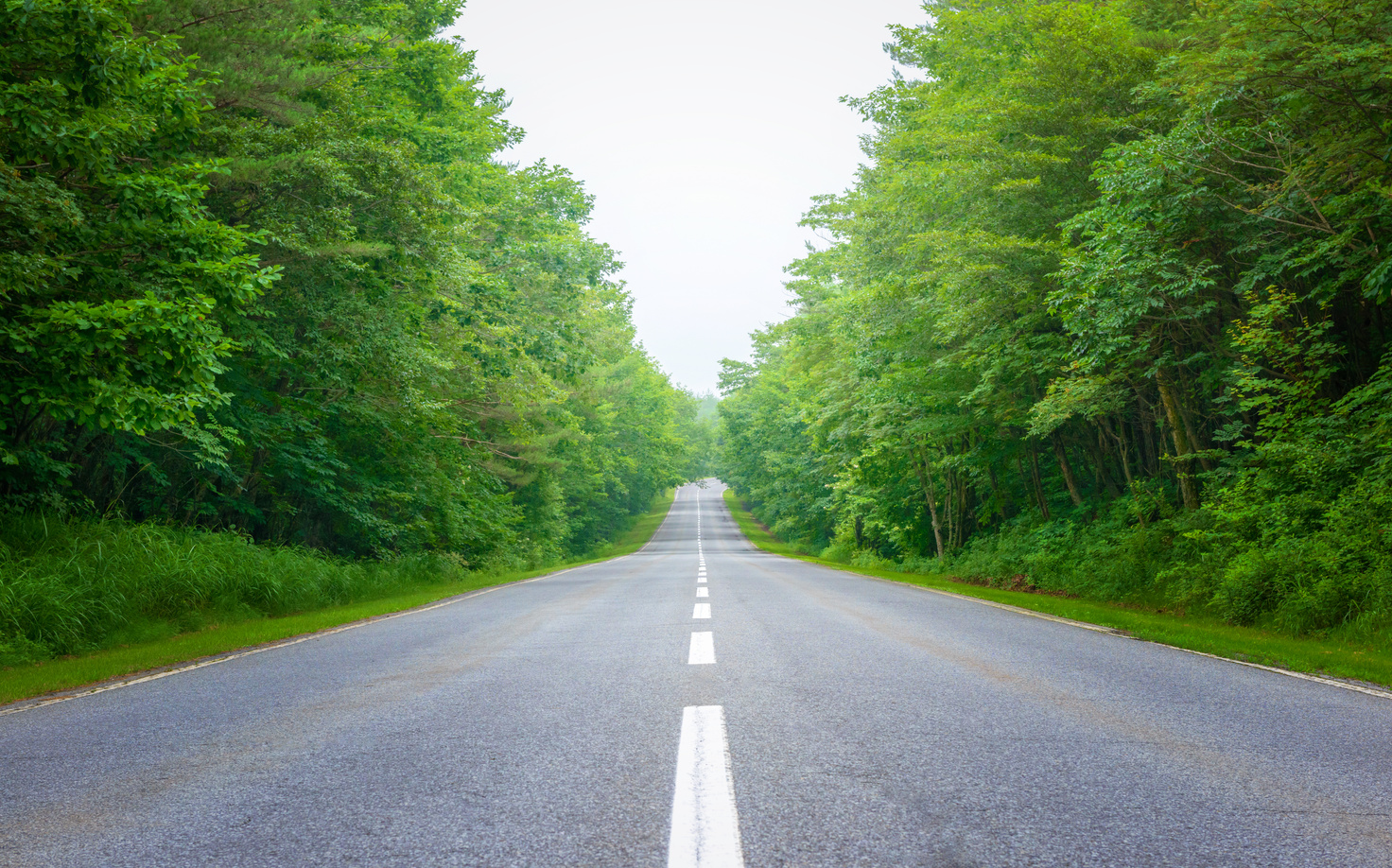 Highland road, Karuizawa.